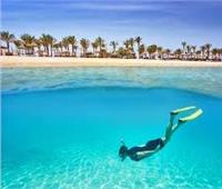 «نوبيع ودهب وسفاجا».. شواطئ مصرية رائعة لـ«الغوص»| فيديو 