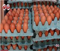 انخفاض أسعار البيض في المزارع الأربعاء 24 نوفمبر