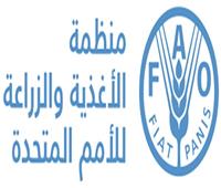 «الفاو» تنظم برنامجًا تدريبيًا للمزارعين والمصدرين المصريين