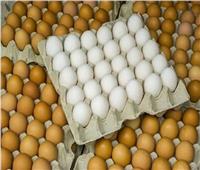 انخفاض أسعار البيض في المزارع اليوم الإثنين 29 نوفمبر 