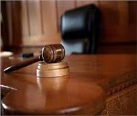 اليوم.. نظر محاكمة 21 متهما في قضية اللجان النوعية