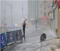 عاصفة مطرية ورياح شديدة تضرب إسطنبول وتسبب خسائر كبيرة | فيديو