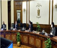رئيس الوزراء: مصر تُرحب بالجانب الإسباني كشريك في مسيرتها نحو التنمية
