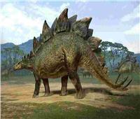 اكتشاف ديناصور مدرع أرهب الخصوم قبل 74 مليون عام