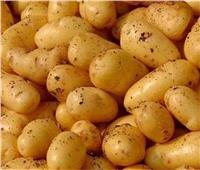 برلماني يتقدم بطلب إحاطة بشأن احتكار كبار التجار لتقاوي البطاطس المستوردة