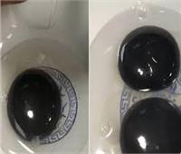 إوزة تضع بيضاً بصفار أسود اللون تحير جميع العلماء لغرابتها | فيديو   