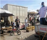 حملة لمكافحة ناقلات الأمراض في سوق الخضار و«زرزارة» بالغردقة