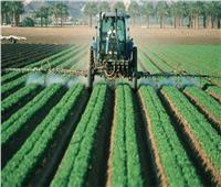 «المناخ الزراعي»: موسم الشتاء سيؤثر على المحاصيل الزراعية