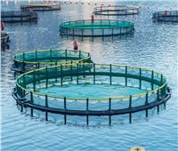 إنشاء مجمع مصانع نرويجية لاستزراع الأسماك بتقنية عالية الجودة بقناة السويس   