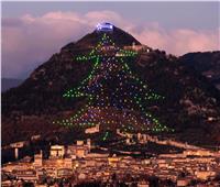 إيطاليا تضيء أكبر شجرة عيد ميلاد في العالم.. فيديو