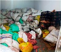 ضبط 17 طنًا و600 كجم لحم مفروم ودجاج غير صالحة للاستهلاك بالإسماعيلية 