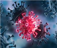 الصحة: تسجيل 822 حالة إيجابية جديدة بفيروس كورونا .. و 47 حالة وفاة