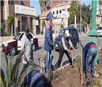 محافظ الدقهلية يتابع منظومة جمع القمامة وتجميل الشوارع بحي غرب المنصورة
