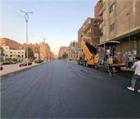 تركيب مطبات صناعية وكاميرات مراقبة بمحور محمد أنور السادات
