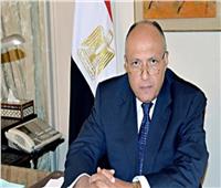 وزير الخارجية: دول التعاون الخليجي يدعمون مصر في ملف سد النهضة