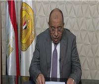 شعراوي: الرئيس السيسي حريص على تعزيز التنمية في الدول الأفريقية