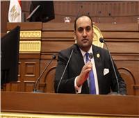 برلماني: منابر الجماعات الإرهابية لا تتوقف عن تشويه سمعة مصر