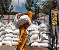 مسلحون يسرقون مساعدات غذائية أممية للمحتاجين في إثيوبيا