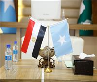السفير المصري الجديد يقدم أوراق اعتماده إلى الرئيس الصومالي