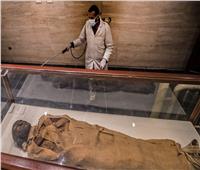 هل تحل المومياوات المصرية «لغز كورونا»؟.. بحث جديد يكشف مفاجأة