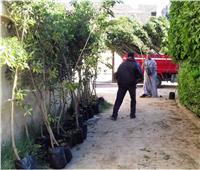 سوهاج: زراعة 3000 شجرة بمركز جهينة ضمن مبادرة «أحلى وهي خضرة»