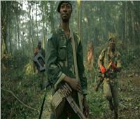 عمليات للجيشين الأوغندي والكونغولي ضد متمردين في محمية «فيرونغا»