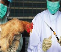 كوريا الجنوبية تسجل حالة إصابة إضافية بإنفلونزا الطيور 
