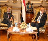 رئيس «خارجية الشيوخ» يلتقي سفير البرازيل بالقاهرة 