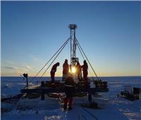 رغم الصقيع| اكتشاف 77 نوع يعيشون في القطب الجنوبي تعود عمرها لـ 6000 عام