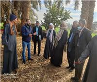 المعمل المركزي للنخيل ينظم مدرسة حقلية للمزارعين بمركز العدوة في المنيا
