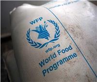  بسبب نقص التمويل.. «الأغذية العالمي» يقدم حصصا غذائية مخفضة لليمن