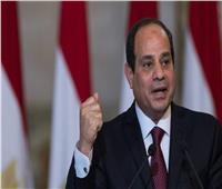رئيس حزب «المصريين»: السيسي أعاد مشروع توشكى إلى الوجود