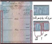 «مصر بلد السلام».. أوراق رسمية حكومية بطابع فرعوني