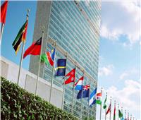 حول تحقيقات «العدوان على غزة».. هزيمة كبرى لإسرائيل في الأمم المتحدة