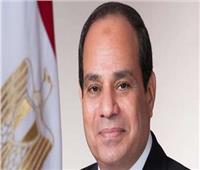 السيسي: «مصر معندهاش وقت.. ومش هنقدر نغامر على الأمن الغذائي»