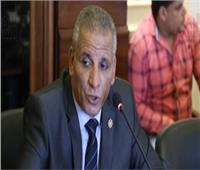 القوى العاملة بالبرلمان : يوجد 25 مليون عامل في القطاع الخاص بمصر