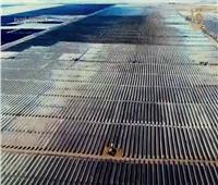 «بنبان».. أكبر مجمع للطاقة الشمسية الكهروضوئية في العالم