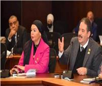 برلمانية: «وثيقة التأمين» إنجاز يحافظ على حقوق المصريين بالخارج‎‎