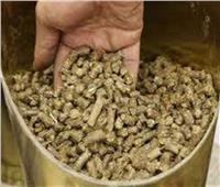 «التموين»: إنتاج 40 ألف طن علف حيواني سنويًا من مصنع «الإسكندرية للزيوت»