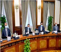 وزير المالية يرحب بانضمام مصر إلى بنك التنمية الجديد «NDB»