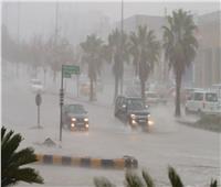 «الحكومة»: توقعات بسقوط أمطار غزيرة على المحافظات الجمعة 