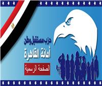 مبادرة شبابية من «حزب مستقبل وطن» لتغطية وعزل أسلاك وأعمدة الكهرباء بالقاهرة