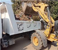 محافظ أسيوط: حملات موسعة لرفع القمامة والمخلفات في المراكز  