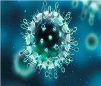 الصحة: تسجيل 847 حالة إيجابية جديدة بفيروس كورونا .. و 25 حالة وفاة