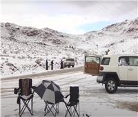 سقوط الثلوج بجبل اللوز بتبوك بالسعودية | فيديو