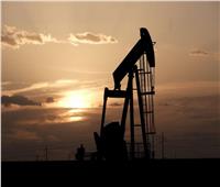 «أوبك»: تعافي أسواق النفط سيتواصل في 2022 لكن بوتيرة أقل