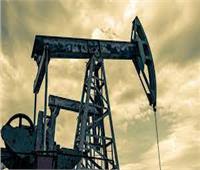 بعد قرار أوبك+.. الالتزام بسياسة الإنتاج تدفع النفط للتماسك قرب 80 دولارا للبرميل