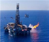 تراجع الطلب على مخزون الوقود الأمريكي يتسبب في انخفاض أسعار النفط 