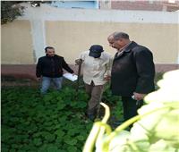 «اتحضر للأخضر».. حملات للتشجير بالمراكز والأحياء في أسيوط