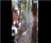 أقوى فتاة في العالم تكسر شجرة بقبضتها في غابات كازاخستان |فيديو